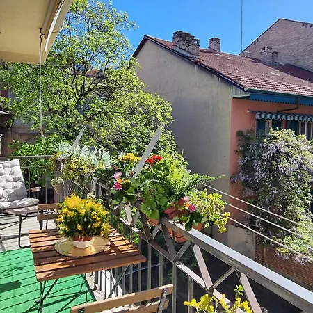 Mancini 1 - Gran Madre