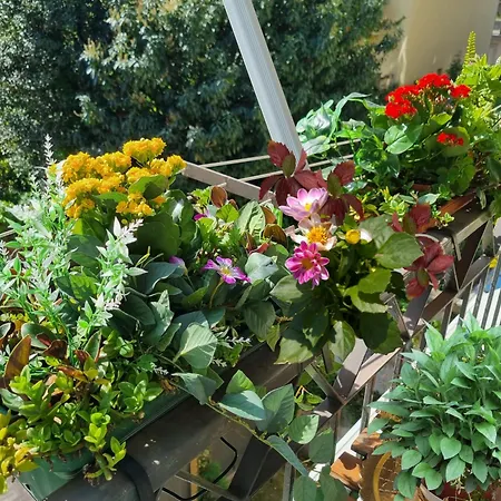 Mancini 1 - Gran Madre 公寓